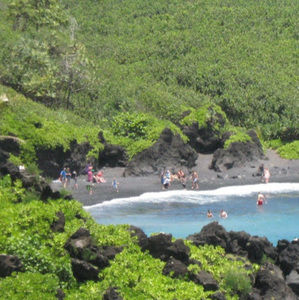 Meet your Posher, Pat